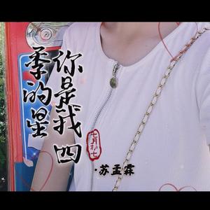你是我四季的星