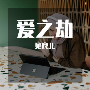 爱之劫