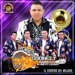 Culebras Andan Ardidas