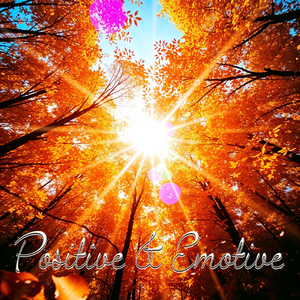 Meadow Lands (feat. Klaus Elbe)
