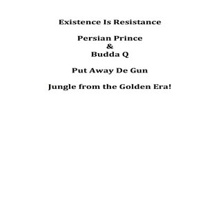 Put Away De Gun