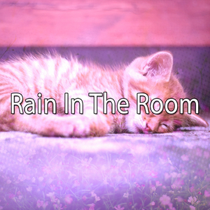 Heavy Rain in the Forest