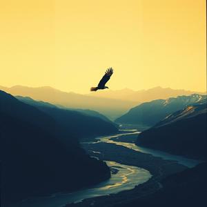 위대한 대한민국