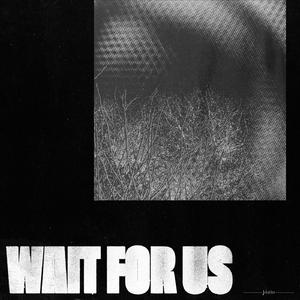 Wait for Us