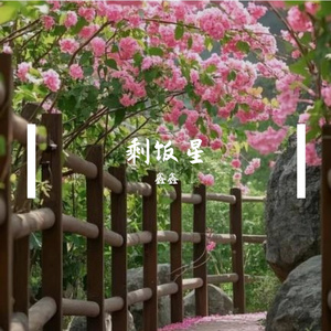 剩饭星