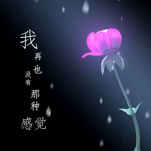 我再也没有那种感觉