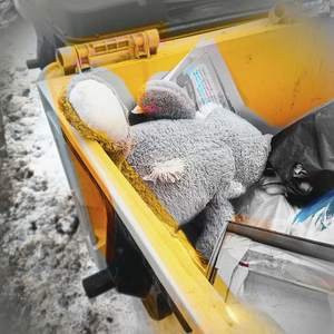 Паришь и паришь