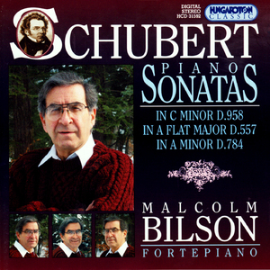 Piano Sonata No. 19 in C Minor, D. 958:I. Allegro