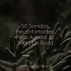 El hechizo de la lealtad