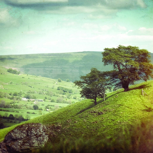 Two Halves of a Line