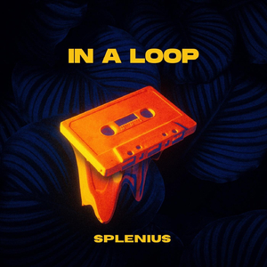 In a Loop