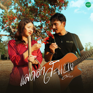 แม่ดอกสะแบง