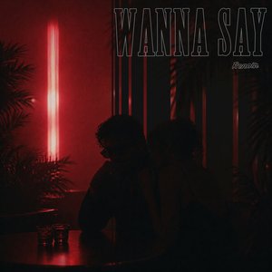 Wanna Say