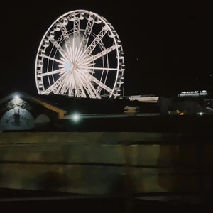 Flower-cover (翻自Johnny Stimson)