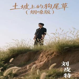 土坡上的狗尾草 (烟嗓版)
