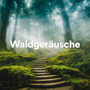 Waldrauschen