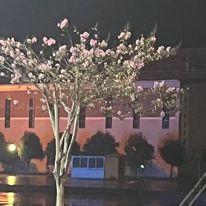 这一生关于你的风景