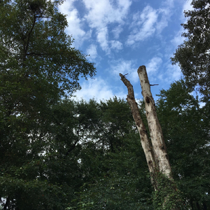 Looks Just Like Cameron Diaz