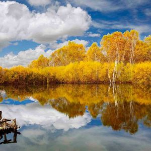 在晨光中醒来 世界如此清新