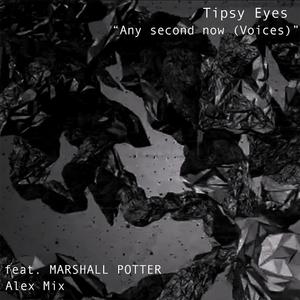 Any Second Now (Voices) (feat. Marshall Potter) (Alex Mix Remix)