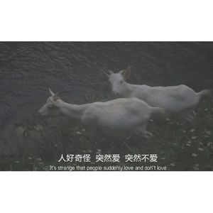 车窗（Prod.No Birthday）