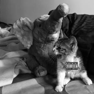 bache gorbeye zakhmi live (Live)