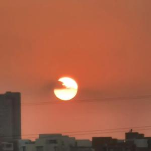 蒋小呢-for ya（J-OneK remix）