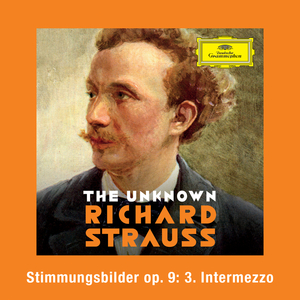 Stimmungsbilder, Op. 9:No. 3 Intermezzo