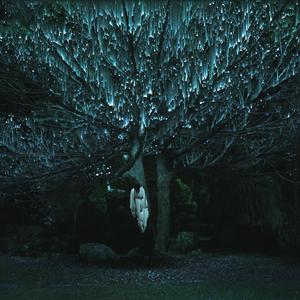 Kielitieteen klassikko jota yhäkin päntättiin yliopiston alkeiskursseilla, ja jonka risaiseksi selailtuna löytyminen kirjahyllyltäni viritti jälleen kerran vilkasta spekulaatiota mielenterveydestäni. (Demo)