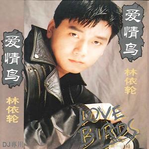 爱情鸟 (Electro Mix)