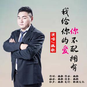 我给你的爱你不配拥有（DJ小魏版）