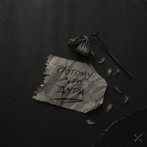 Потому что дура