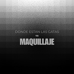 Donde Estan las Gatas Vs Maquillaje