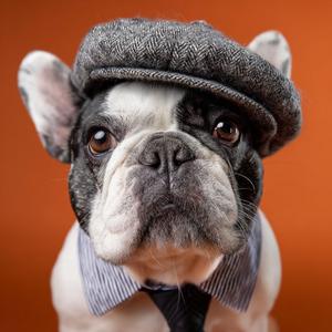 People Climbing and Descending Stairs