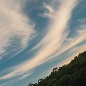 流云自在逐风行
