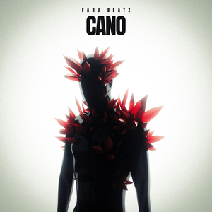 CANO