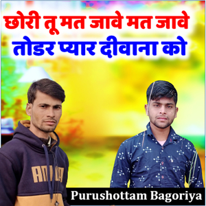 छोरी तू मत जावे मत जावे तोडर प्यार दीवाना को