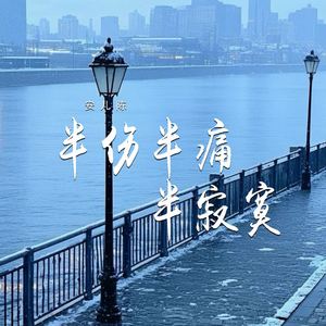 半伤半痛半寂寞 (伴奏)