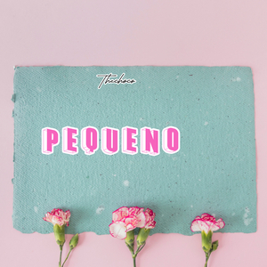Pequeno