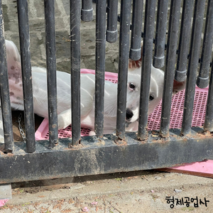 조금 더 큰 혼잣말