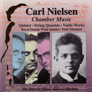 Violin Sonata No. 2, Op. 35: Allegro con tiepidezza