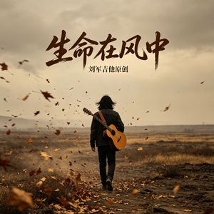 《生命在风中》吉他曲加长版