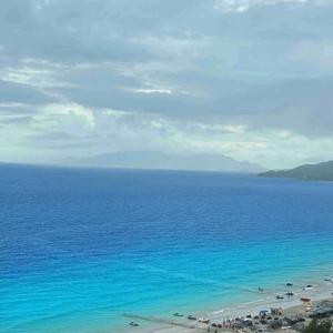 花成花树成树(1).wav