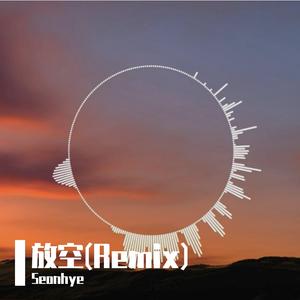 大籽-放空（Seonhye remix）