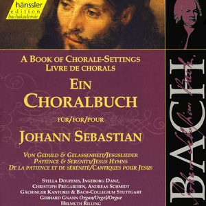 Meinen Jesum lass ich nicht, BWV 380