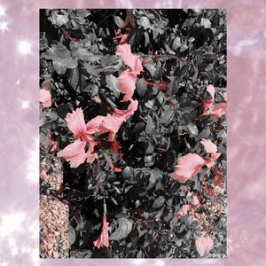 I Wanna Be Matty Healy