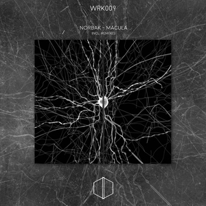 Macula (Temudo remix)