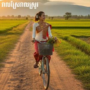 វាលស្រែវាលស្រូវ Rice Field love