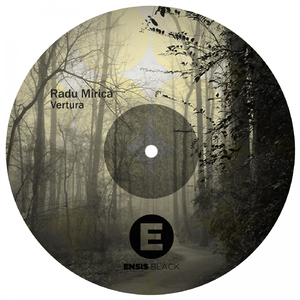 Vertura (Original Mix)