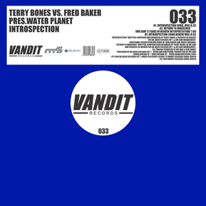 Introspection (Orginal Mix)